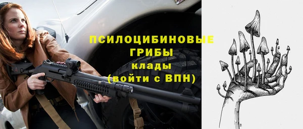 стаф Белоозёрский