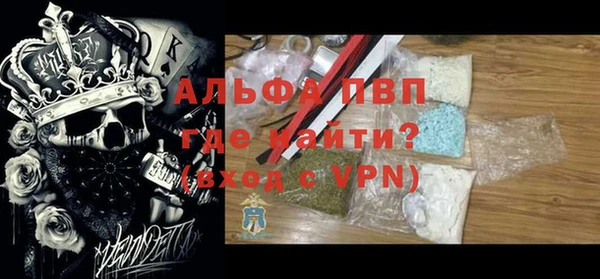 индика Беломорск