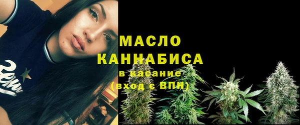 индика Беломорск